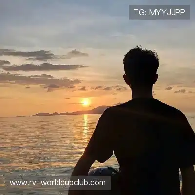 舒舜飚